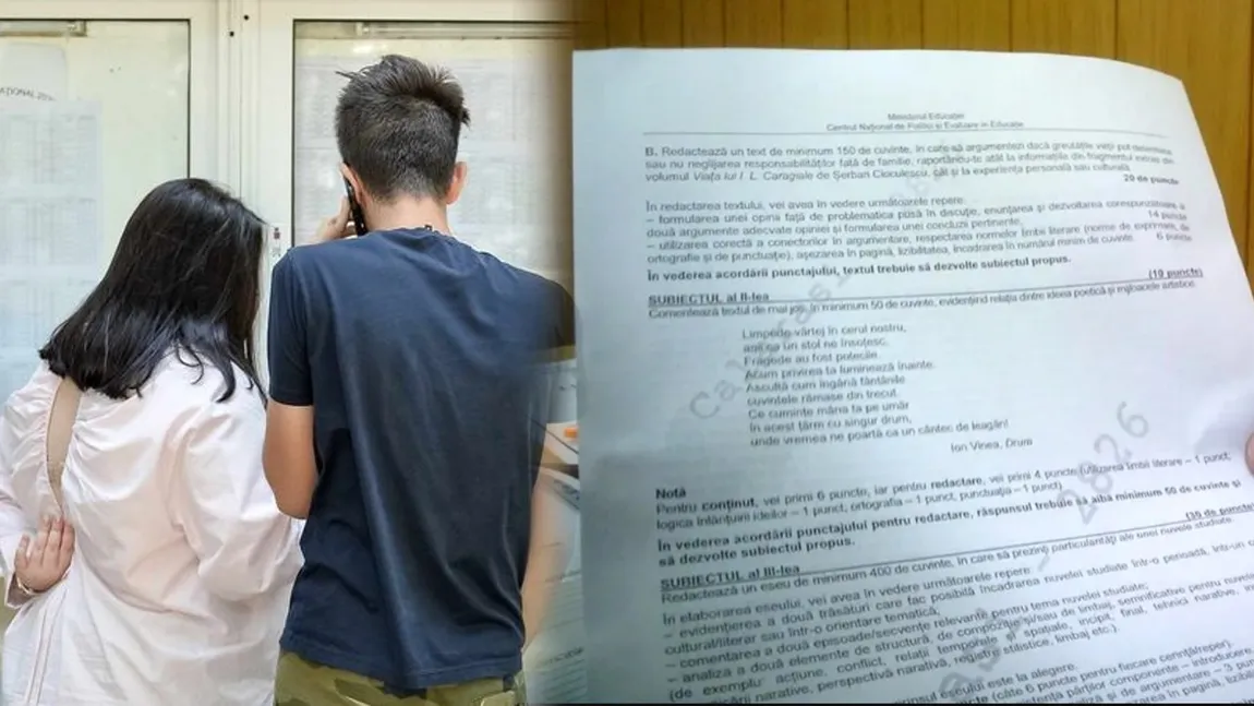 O expresie primită de elevi la proba de Limba română de la Bacalaureat a fost căutată de aproape 800 de ori pe dexonline, înainte de începerea examenului