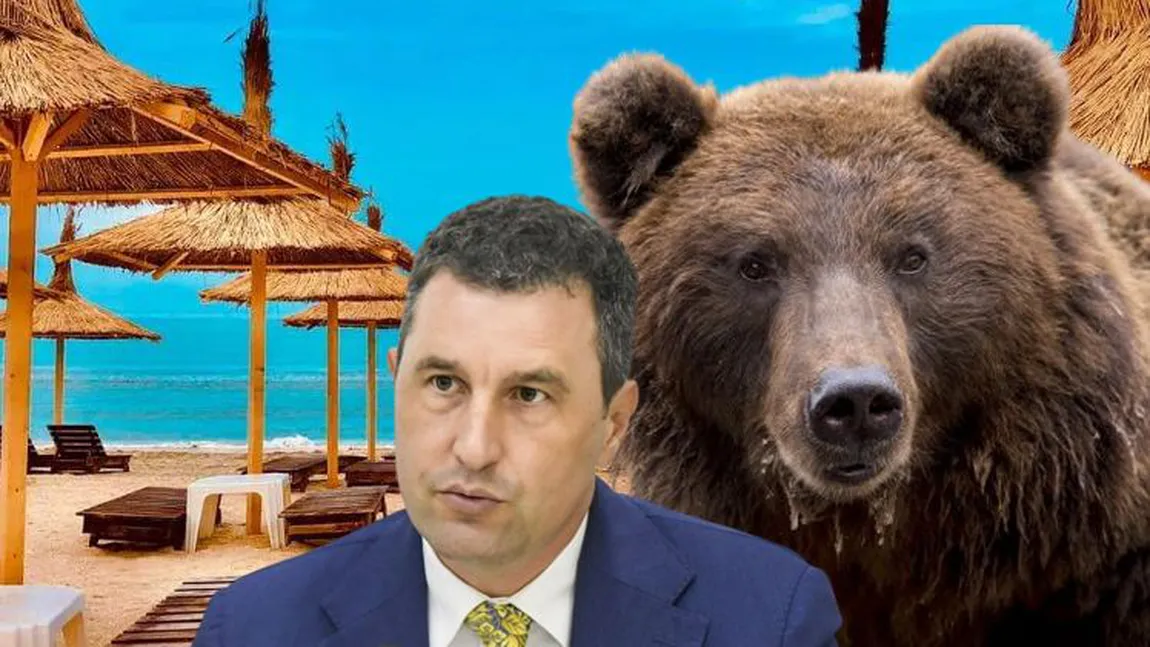 Cu ursul la uşă! Tanczos Barna, revoltat de situaţia urşilor ajunşi în oraşe: 