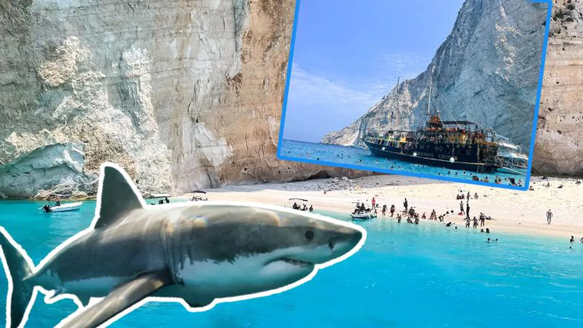 Pericolul pentru turiștii care ajung vara aceasta în Zakynthos. Un rechin a fost văzut în apropierea insulei grecești