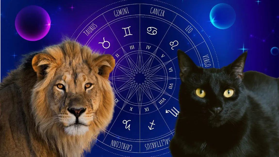 Ce felină ești, în funcție de zodie. Trăsăturile caracteristice fiecărui semn zodiacal