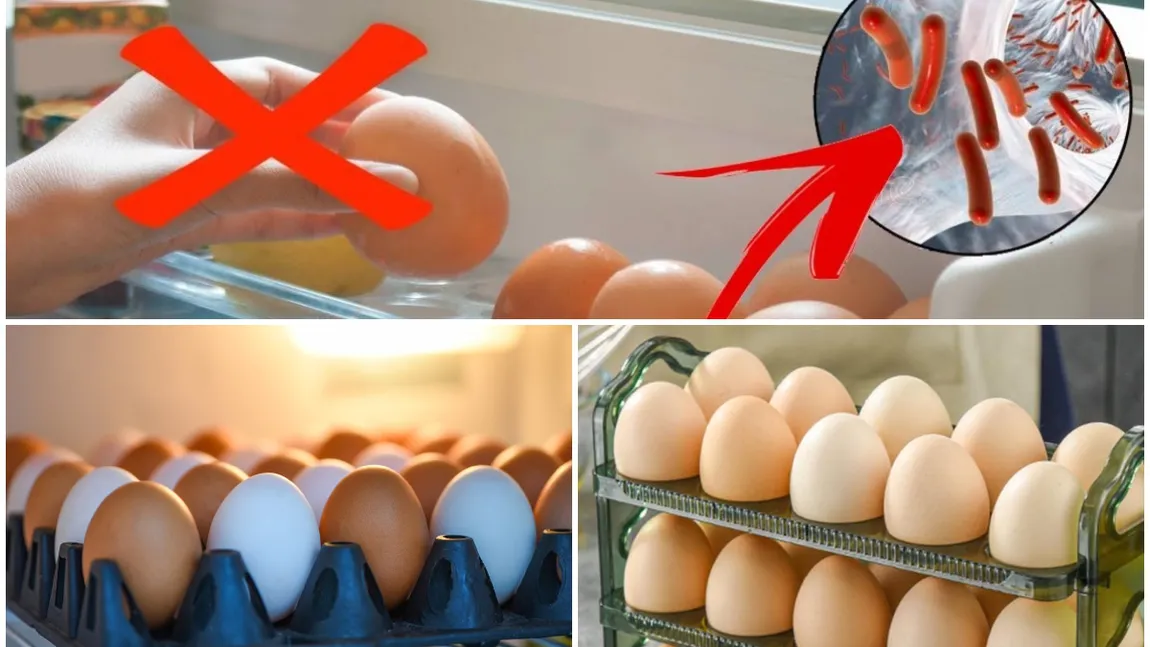 De ce nu este bine să păstrezi ouăle în uşa frigiderului. Care este locul ideal în care pot fi depozitate