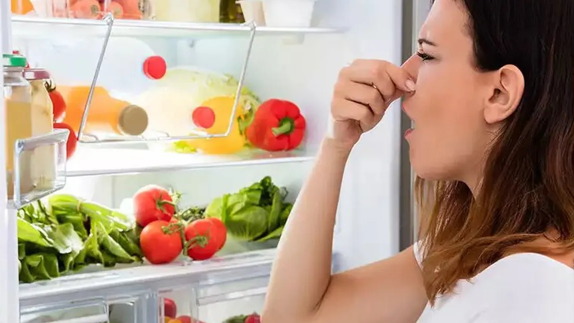 Butonul din frigider care ține la distanță mirosurile neplăcute. Puțini oameni au cunoștință de existența lui