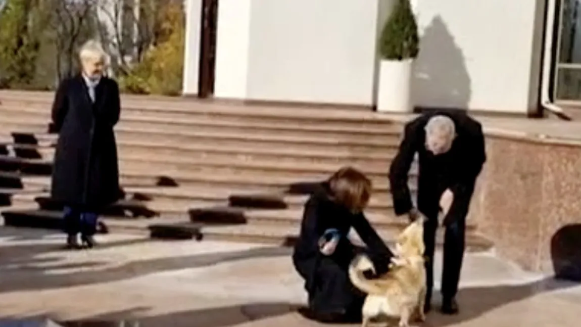 Incident diplomatic la Chişinău! Câinele Maiei Sandu, Codruţ, l-a muşcat de mână pe preşedintele Austriei