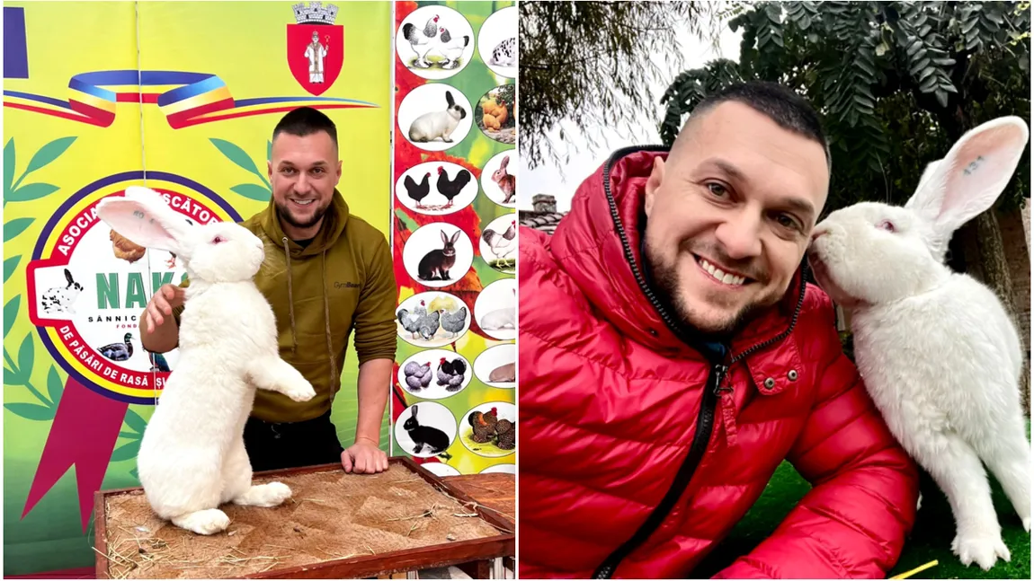 Bănățeanul care crește cei mai mari iepuri din țară a obținut premii chiar de Ziua României. ”Ambii iepuri au ieșit campioni naționali”
