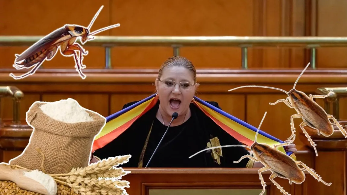 Diana Șoșoacă a explodat! Țipete și jigniri în Parlament: „Gândacule, fă-te făină!”