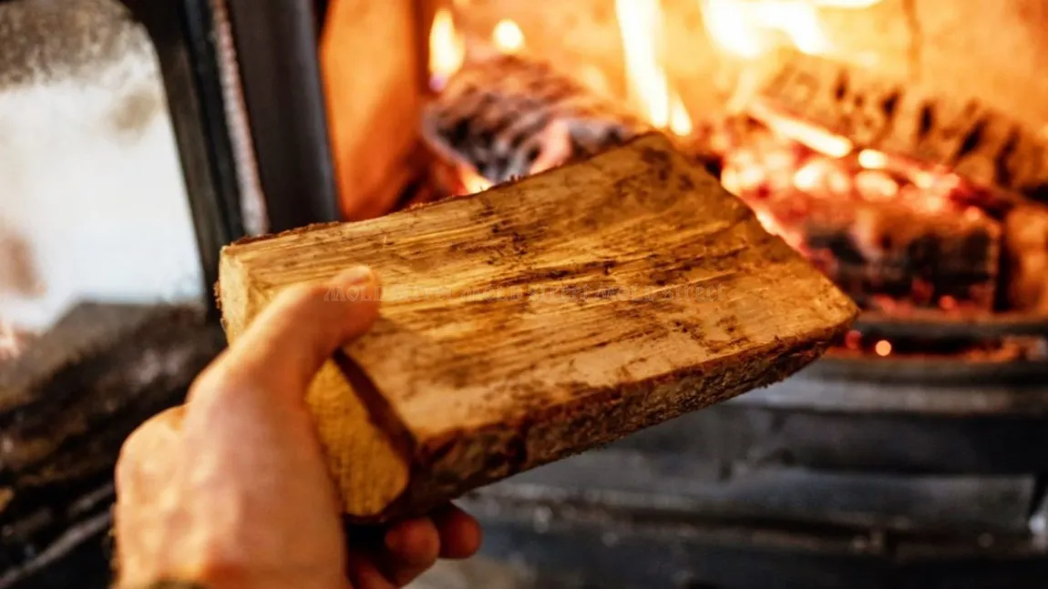 Cât ne costă, de fapt, să ne încălzim casa cu lemne! Problemele de sănătate ne pot rămâne pe viață