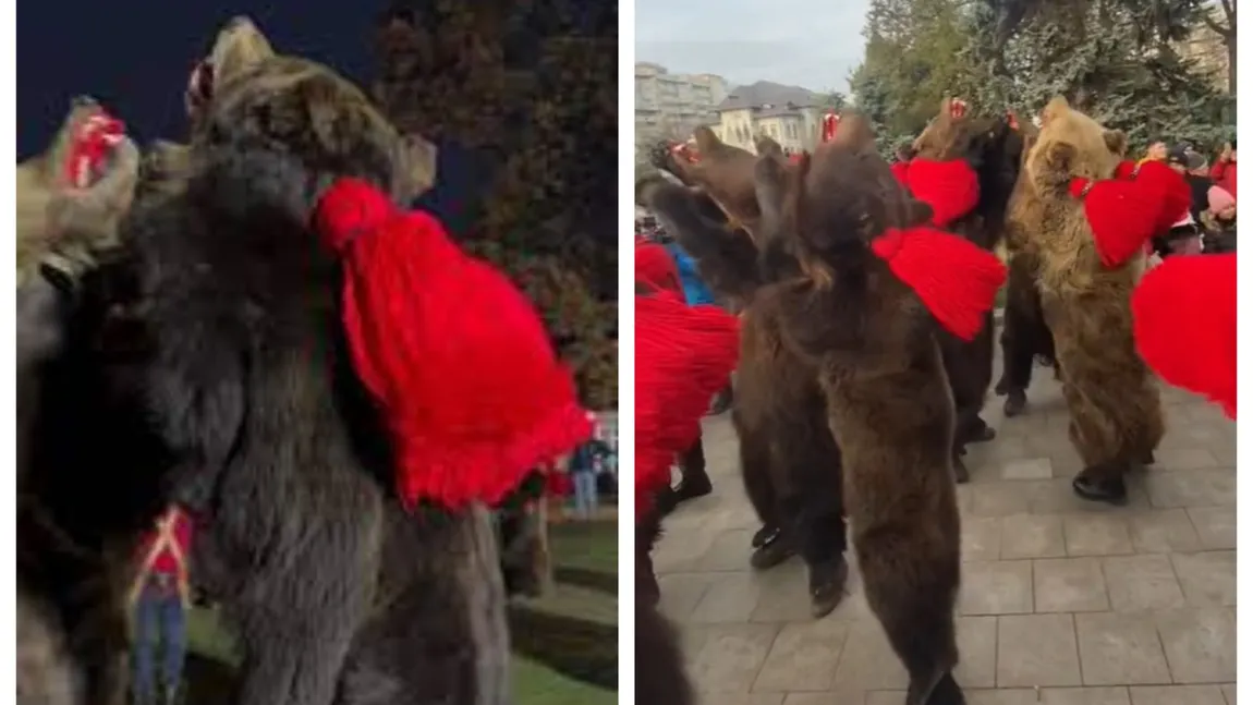 VIDEO Români îmbrăcați în blăni de urs au defilat pe străzile Londrei: ”Tradiții și obiceiuri ca la noi, nu are nimeni în lume”