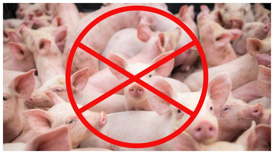 Fermierii lansează un avertisment dur! România riscă să rămână fără carne de porc