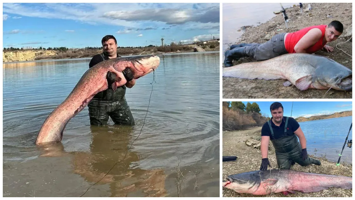 Marius, un sibian stabilit în Austria, pescuiește pești de peste 80 de kilograme: „Din pasiune am ajuns să fac investiții costisitoare pentru a continua”