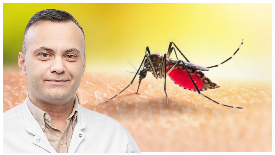 Malaria face ravagii în România! Care sunt simptomele bolii care a ucis-o pe fina lui Emil Boc. Medicul Adrian Marinescu: ”Ne pot pune viața în pericol