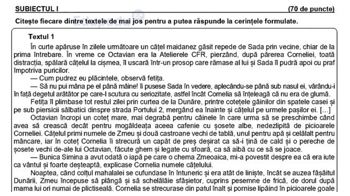Cum se rezolvau subiectele la română la simulare Evaluare Națională 2024. Bareme de corectare publicate pe edu.ro