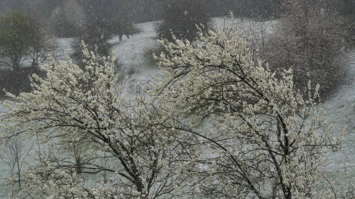 Ninsori, lapoviță și ploi după zilele de vară. Alertă meteo ANM cod galben de furtuni puternice