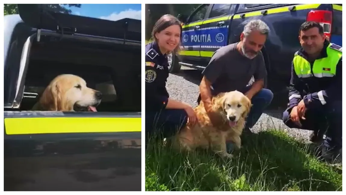 Imagini emoționante! Un câine dat dispărut s-a reîntâlnit cu stăpânii săi după doi ani - VIDEO