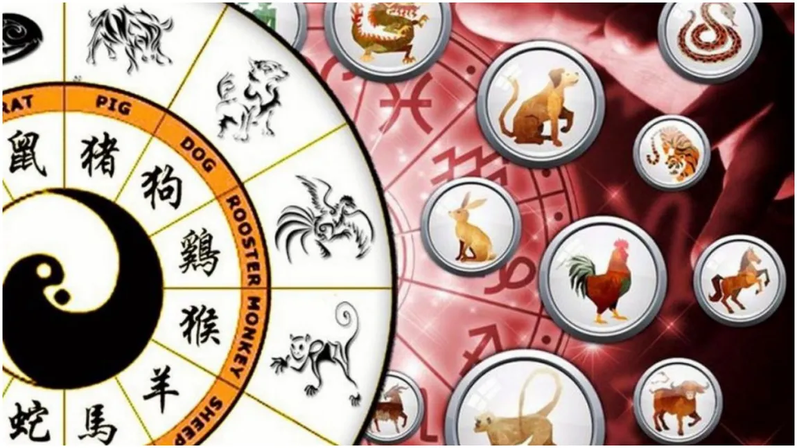 Ce arată zodiacul chinezesc pentru duminică, 30 iunie 2024. Ce zodie trebuie să se bucure de timpul liber