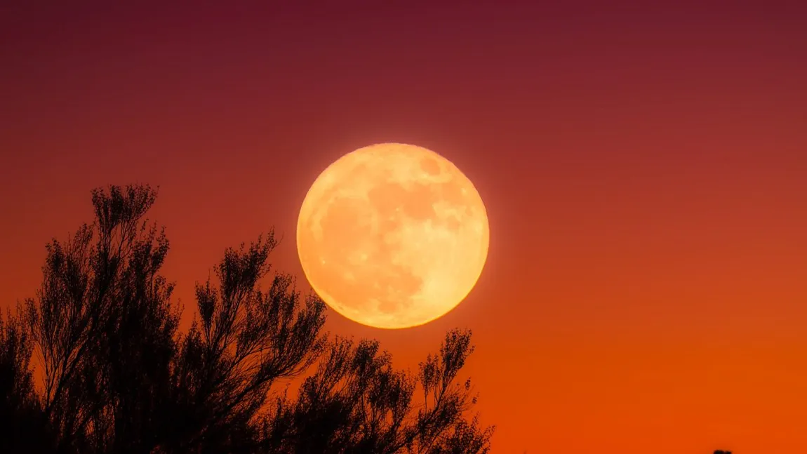 Horoscop special: Prima Lună plină după solstiţiul de vară – 21/22 iunie 2024. Se completează ciclul început în 11 ianuarie 2024. 7 zodii care sărbătoresc SUCCESUL muncii lor