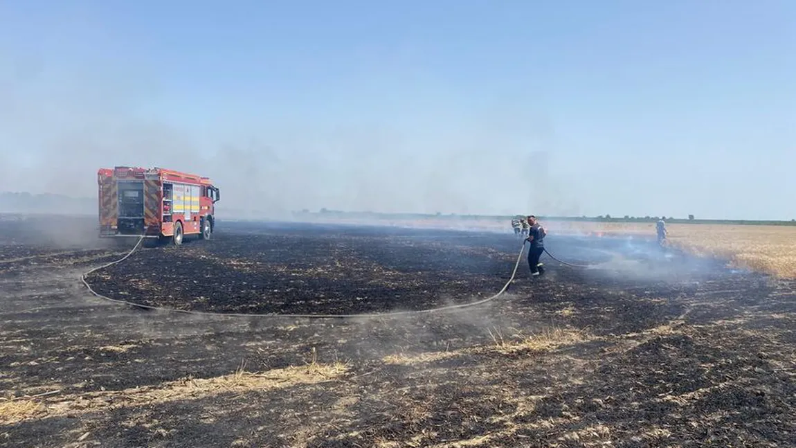Incendii de amploare în România. 50 de hectare de teren au ars în Prahova, flăcările au distrus şi un lan de grâu. 15 incendii de vegetaţie uscată în Teleorman