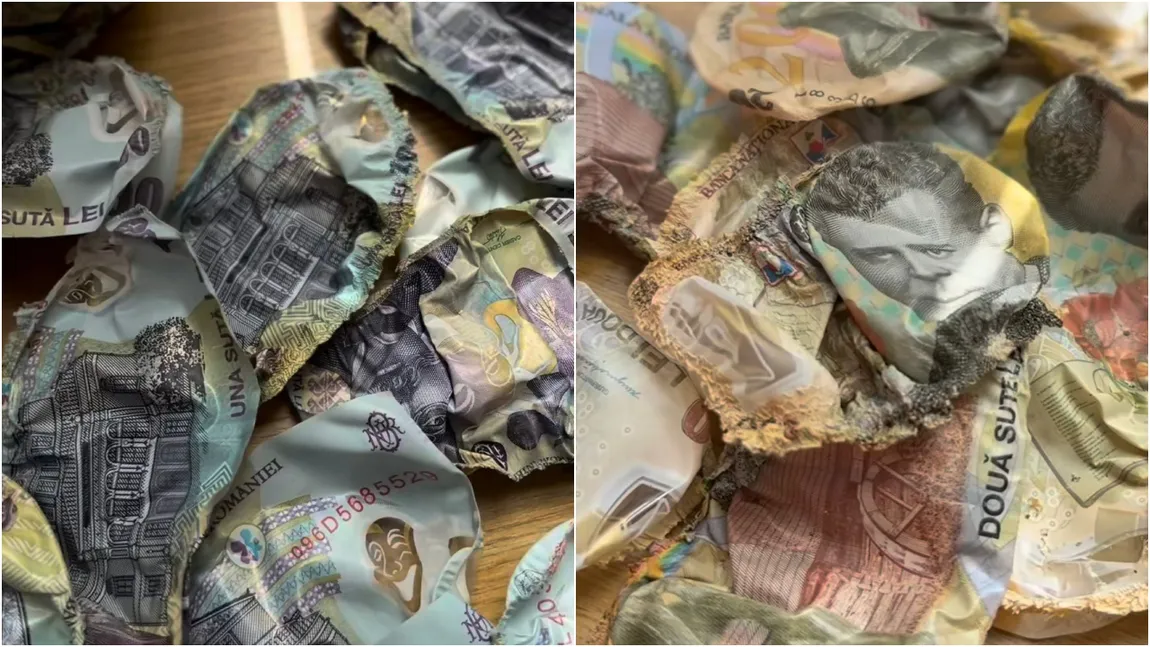Un bărbat și-a ascuns banii în sobă, apoi a cerut băncii să-i schimbe bancnotele arse. Reacția angajaților BNR