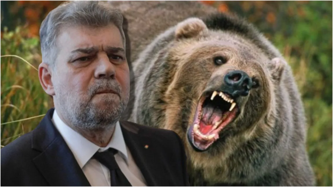 Marcel Ciolacu reacționează în cazul fetei ucise de urs: 