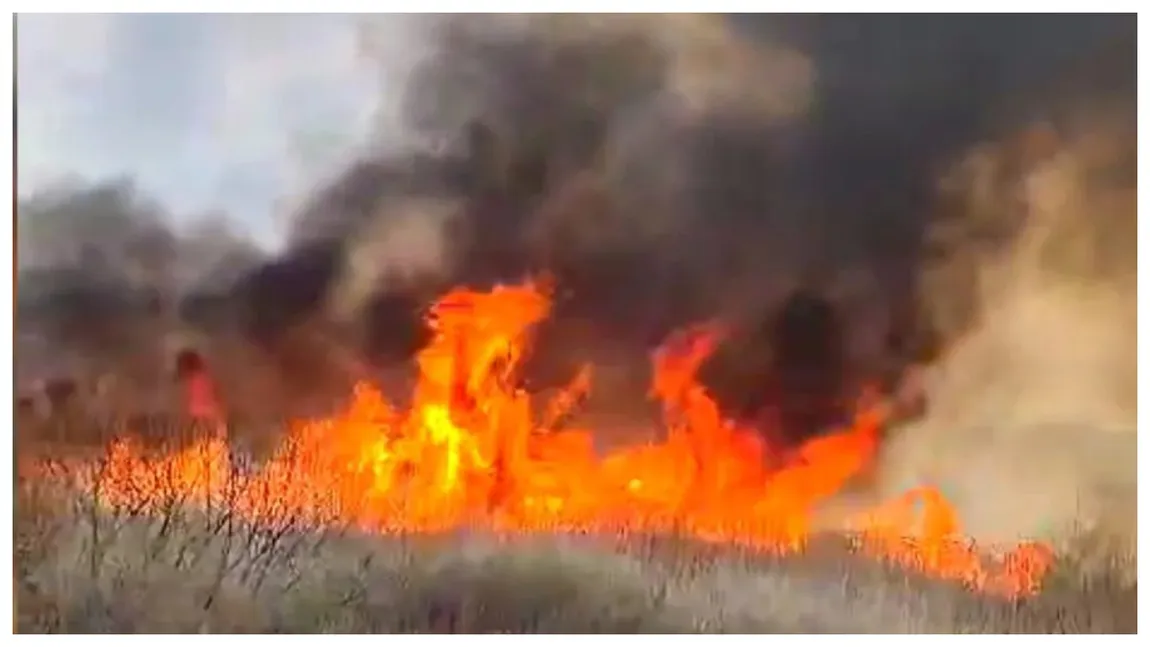 Incediu uriaș de vegetație lângă București! Până și mașina pompierilor a luat foc. A fost emis mesaj RO-Alert