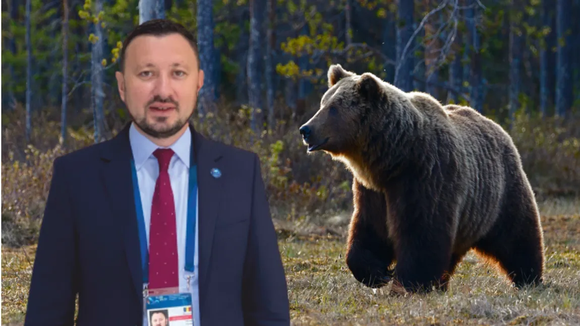 Mircea Fechet: Situaţia urşilor este scăpată de sub control, în fiecare zi avem mesaje RO-Alert