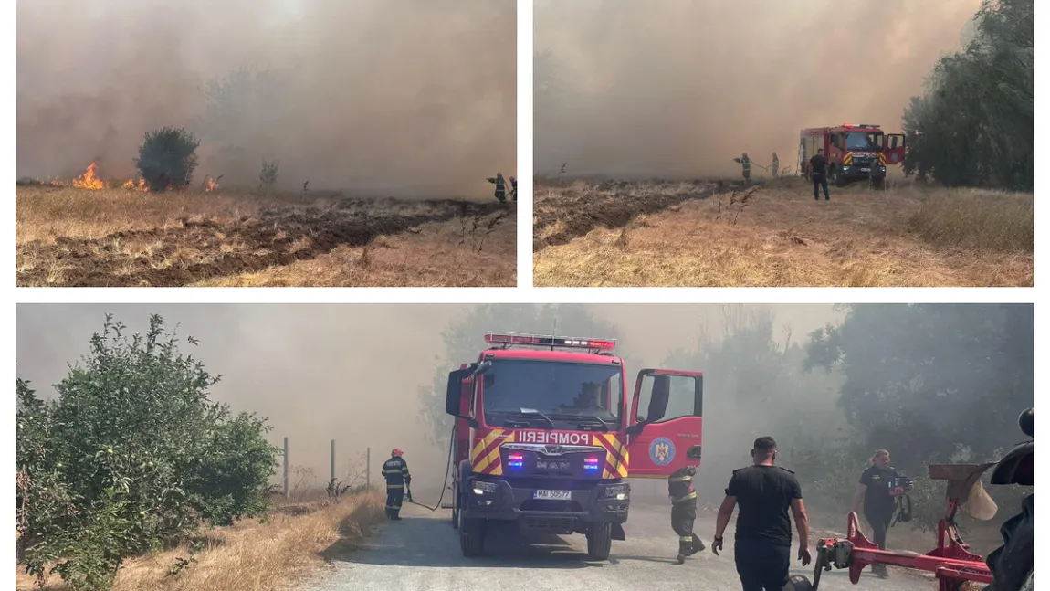 Plan Roşu de intervenţie, ard 50 de ha de vegetaţie la Constanţa. Incendiul a ajuns lângă un azil de bătrâni
