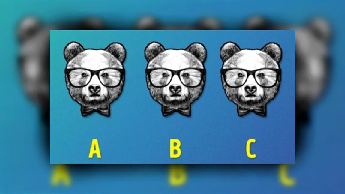 Test IQ pentru genii. Care urs din imagine este diferit de ceilalți doi. Găsește răspunsul corect în mai puțin de 15 secunde