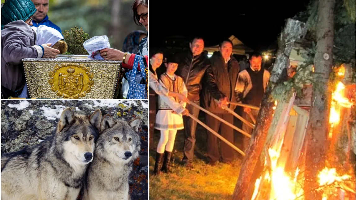 Calendar ortodox octombrie 2024. Sărbători religioase în octombrie 2024. Tradiţii şi superstiţii de Sfânta Cuvioasă Parascheva, de Sfântul Dimitrie Izvorâtorul de Mir, de Sfântul Dimitrie Basarabov