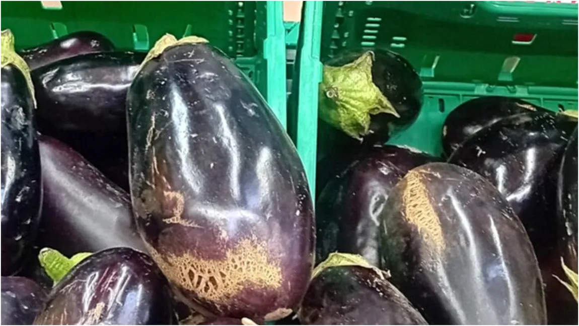 Uimitor! Cât costă un kilogram de vinete în Carrefour. Reacția Asociației pentru Protecția Consumatorilor din România