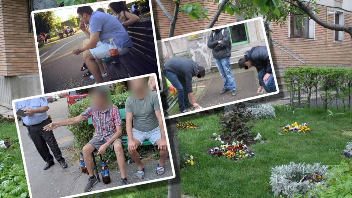 Interzis în faţa blocului! Amenzile pot ajunge la 12.000 de lei. Noi reguli pentru locuitorii de la bloc