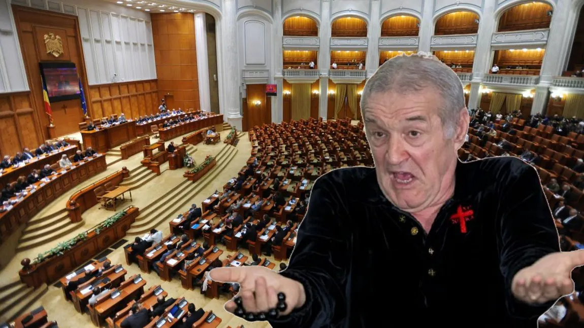 Ce legi vrea să schimbe Gigi Becali dacă va fi ales parlamentar AUR. 