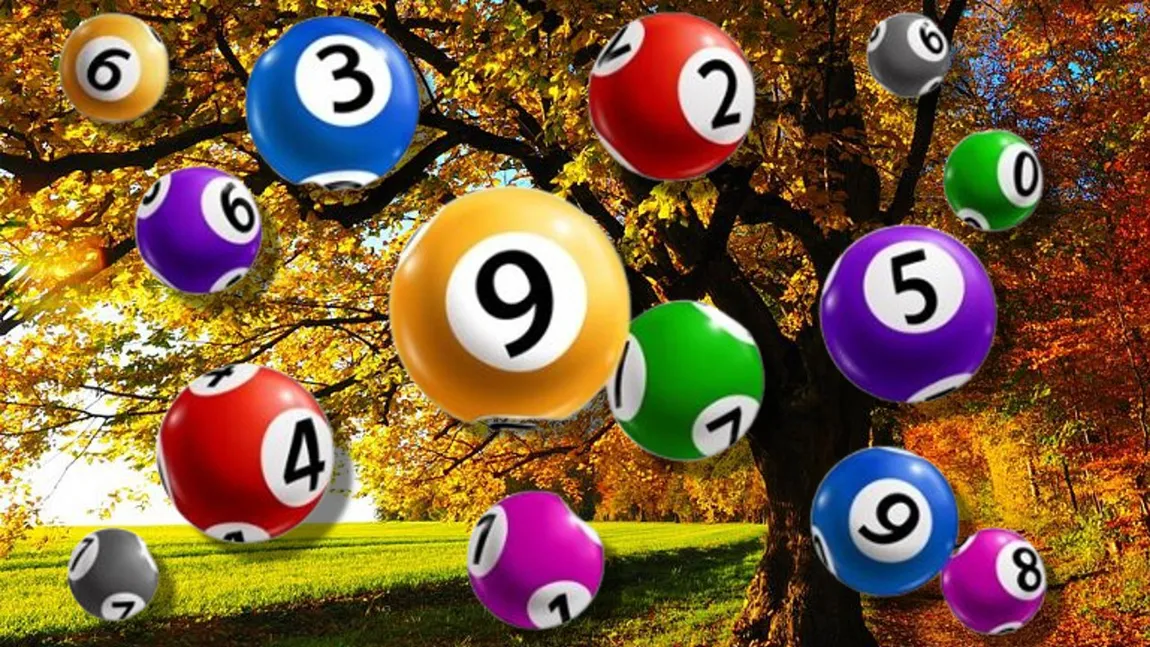 Rezultate loto 26 septembrie 2024. Report la Loto 6/49 la categoria I de peste 6,49 milioane de euro