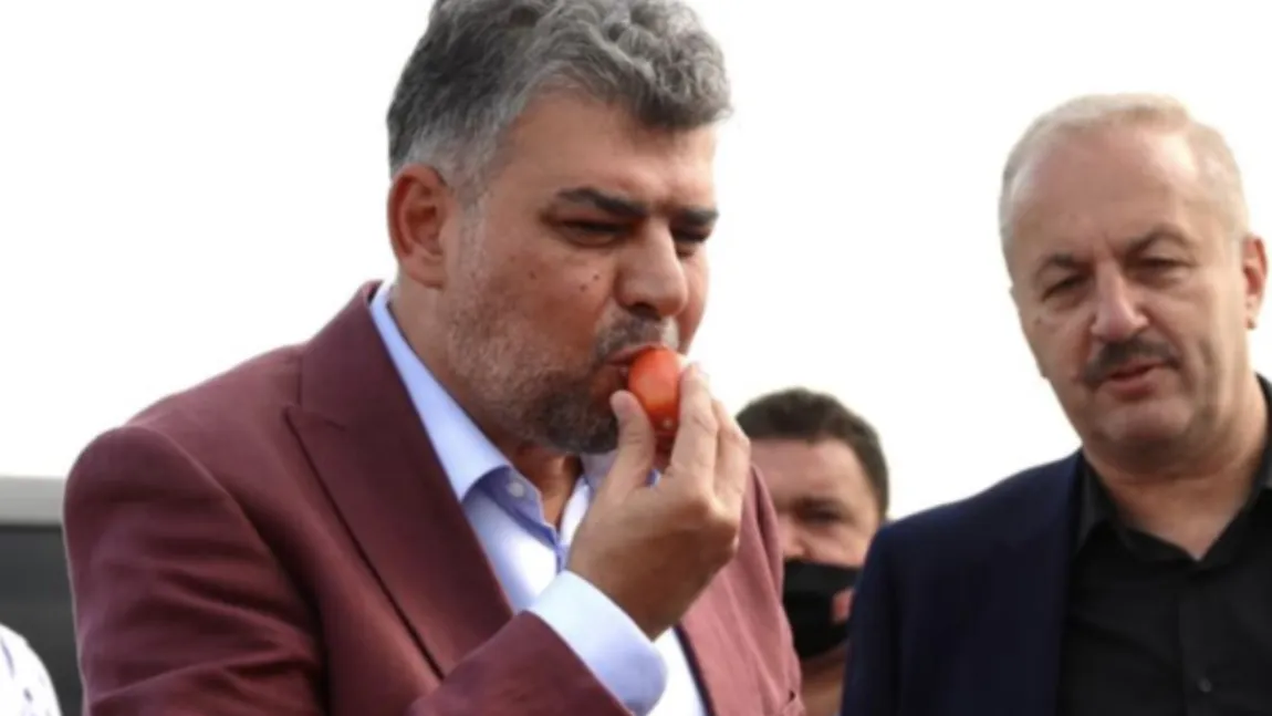 Guvernul Ciolacu plătește încă 180 milioane de lei pentru producătorii agricoli. Banii sunt pentru cultivatorii de roșii românești