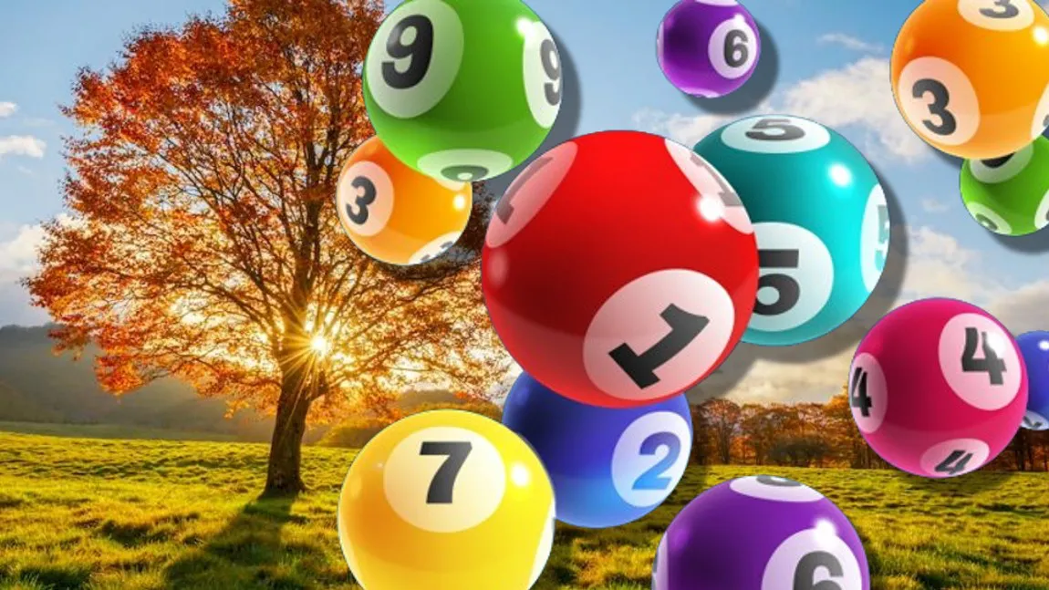 5 zodii care vor câștiga la Loto în luna noiembrie 2024. Se vor îmbogăți peste noapte