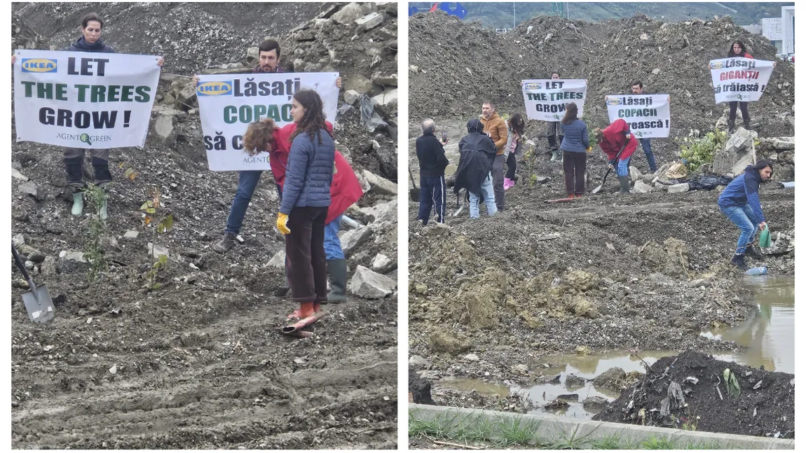 Șantierul Ikea din Iași s-a umplut de protestatari:”Lăsați copacii să crească!”