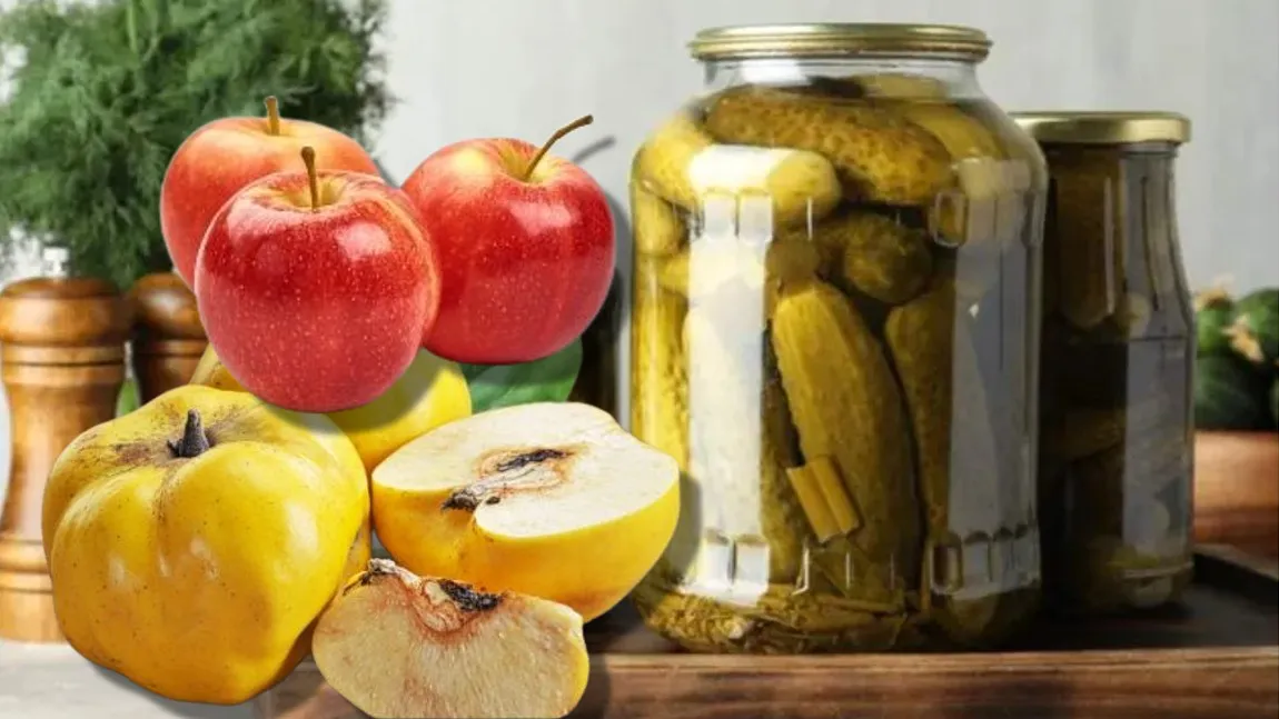 De ce să pui mere și gutui la castraveții murați. Secretul gospodinelor pentru murături perfecte