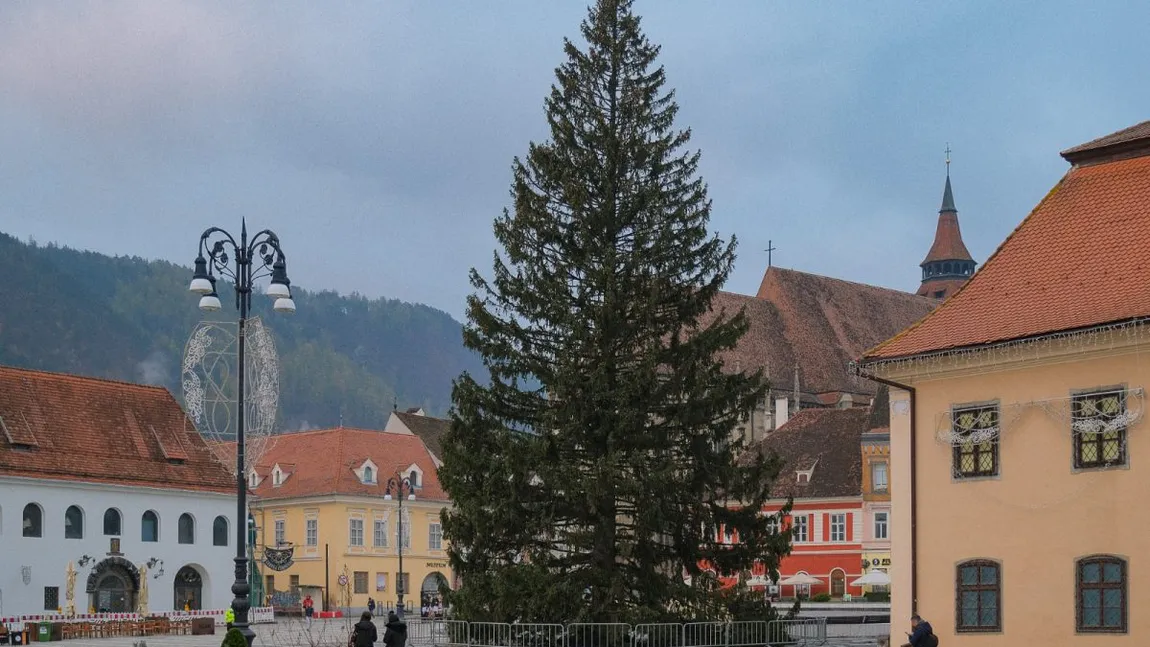 Braşovul se pregătește de sărbătorilor de iarnă. Cel mai înalt bradul de Crăciun din România a fost instalat în Piaţa Sfatului