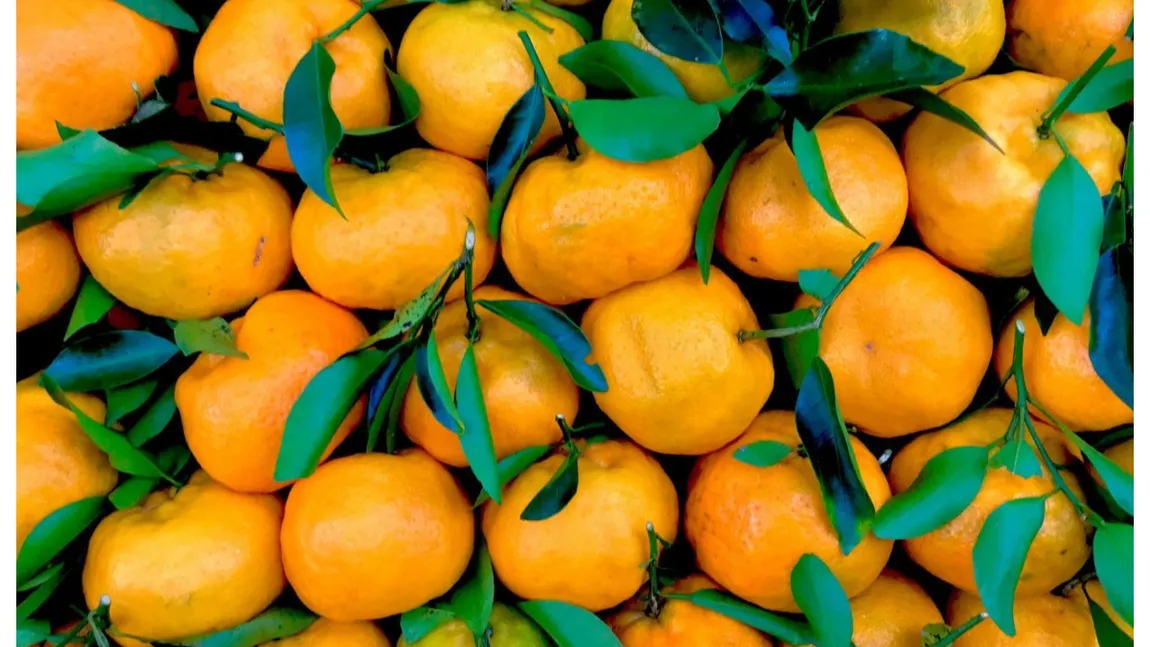 Nu mâncați niciodată mandarine după ce ați consumat aceste alimente. Riști să ai probleme grave de sănătate