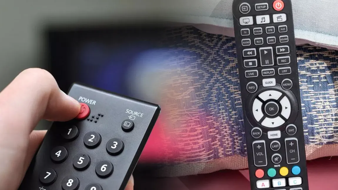 Analiză BRAT privind consumul media: Urşii de canapea petrec 265 de minute pe zi la TV, Ciocănitorile neobosite au cel mai înalt statut social iar Maimuţele sociale - cele mai conectate la online. Ce fac cămilele minimaliste şi oile responsabile!