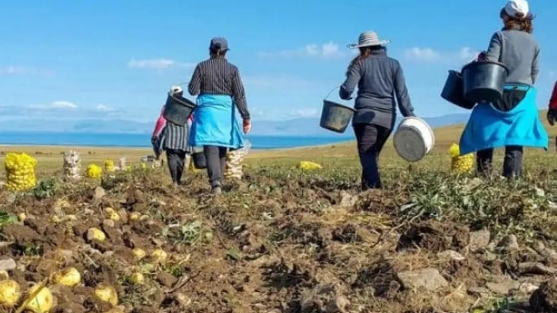 Concedieri masive într-un sector de activitate neafectat de disponibilizări în ultimul deceniu. Schimbările climatice, principala cauză a renunțării la angajați