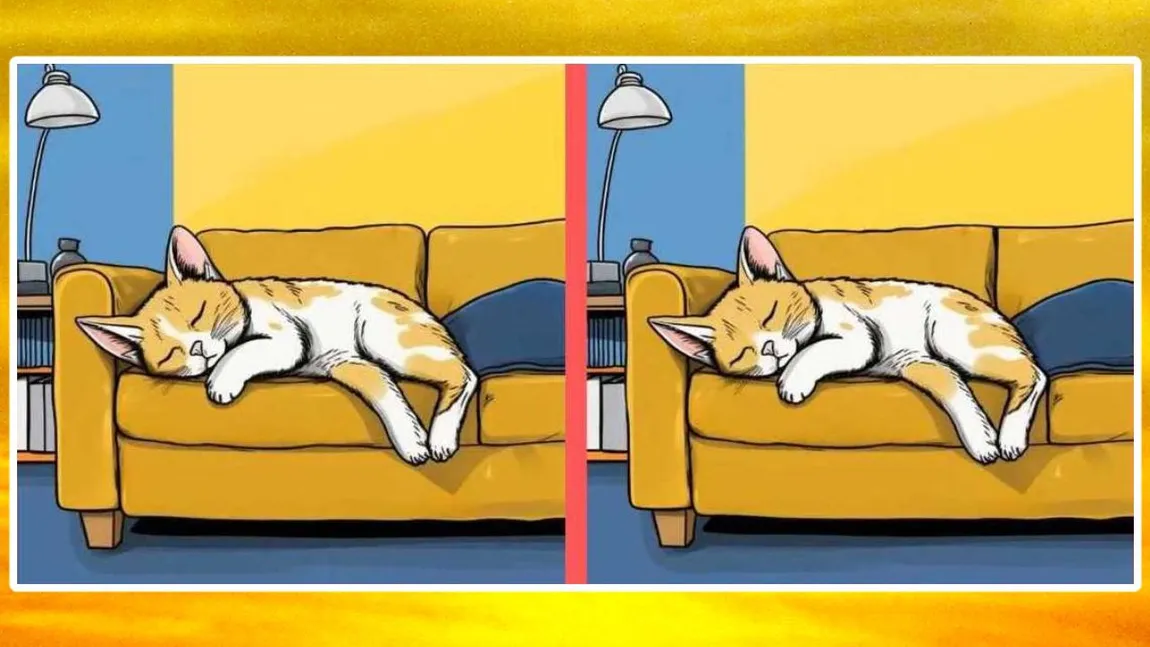 TEST IQ Găsiţi cele trei diferenţe dintre cele două imagini. Puţini oameni îşi dau seama, atenţie la detalii!