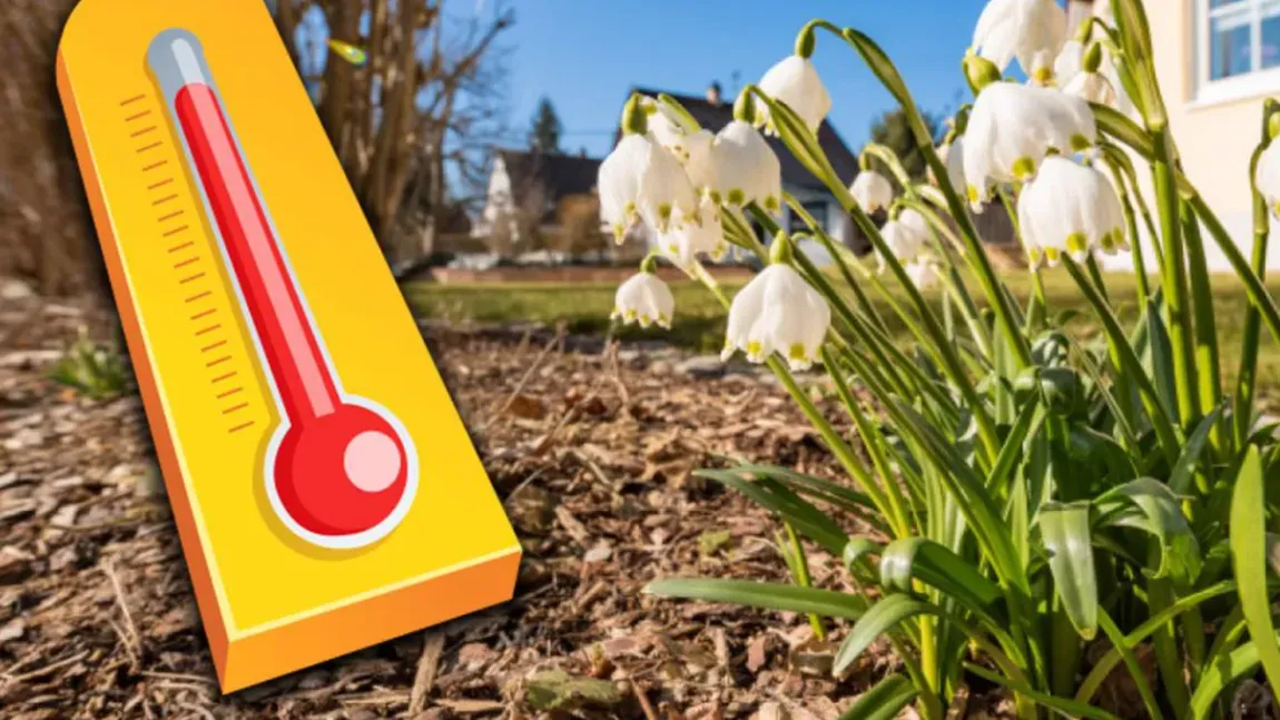 Vine primăvara, inversiune termică accentuată! Cum va fi vremea până la jumătatea lunii februarie? Estimarea ANM