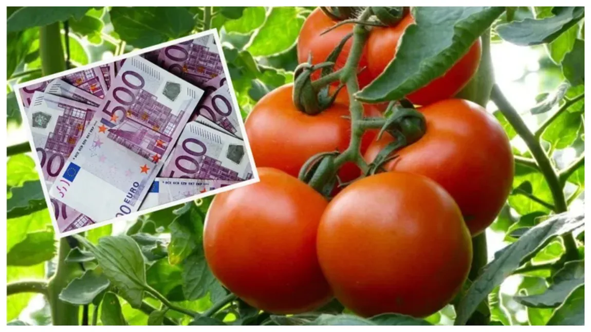 Tot mai mulți agricultori vor avea acces la subvenții de la stat. Se elimină o condiție de eligibilitate esențială