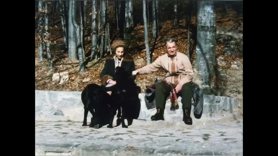 Ce meniu select aveau câinii familiei Ceaușescu în timp ce românii primeau alimente cu rația
