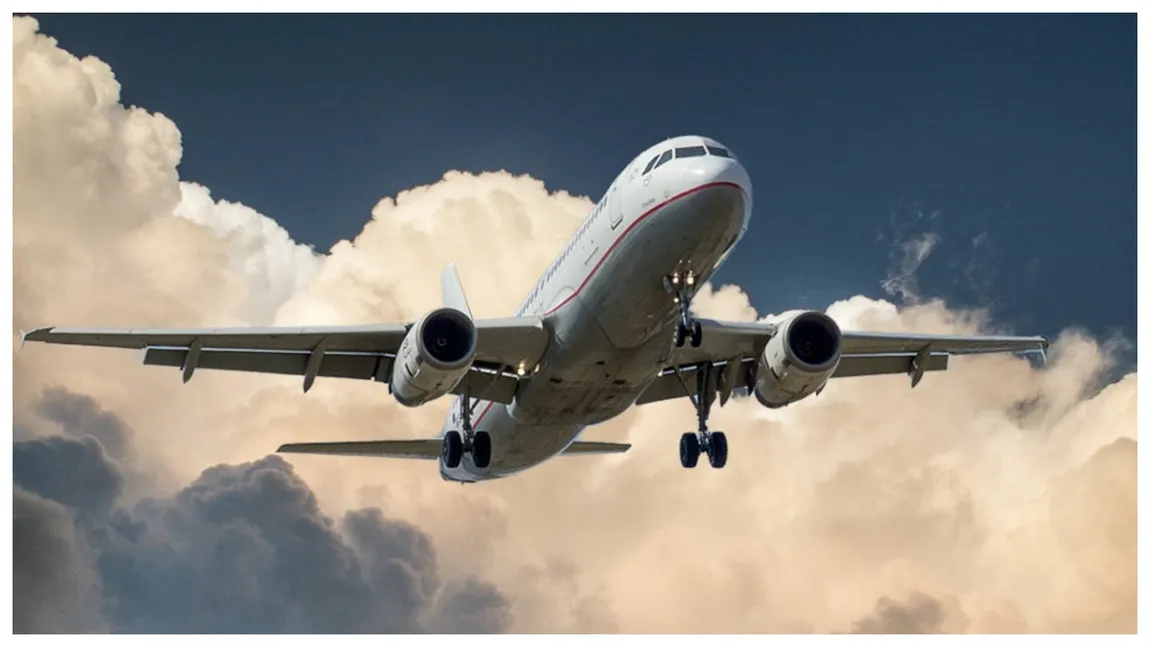 O companie aeriană interzice accesul pasagerilor cu tatuaje sau haine neacoperite în mod adecvat. Care sunt condițiile impuse