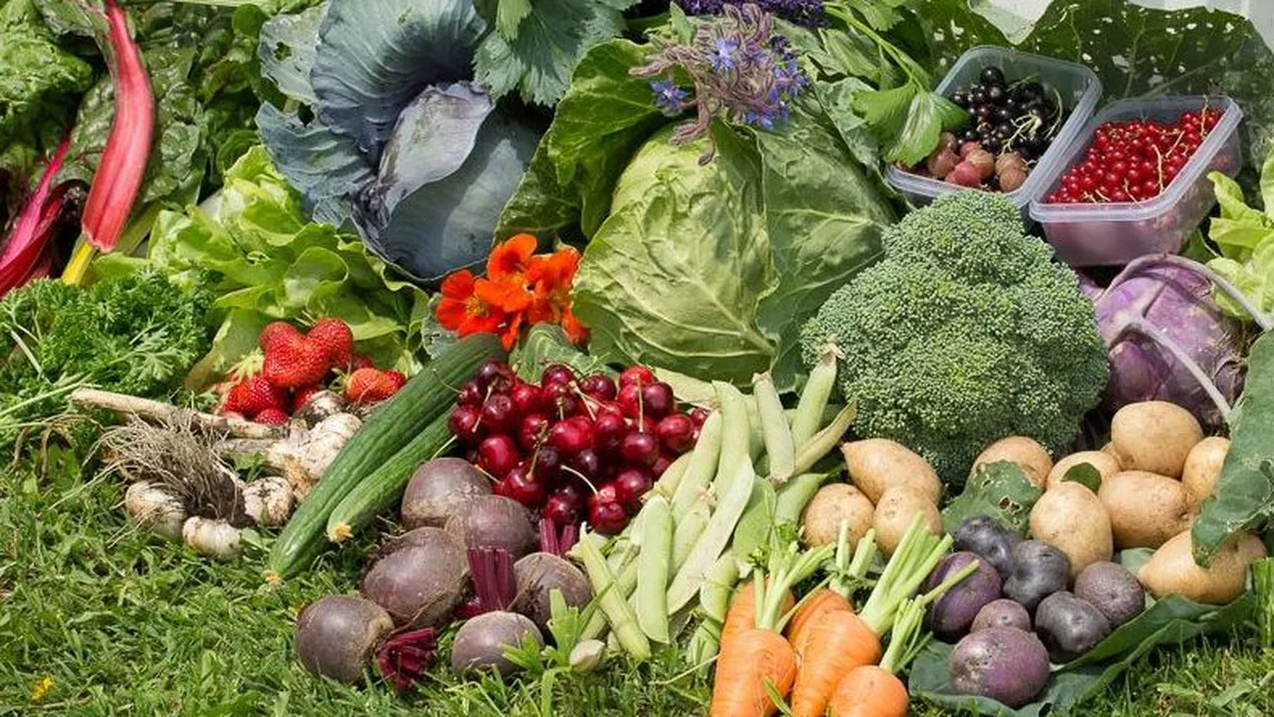 Leguma rară pe care o caută toți românii pentru gustul ei dulceag. Costă 4 lei kilogramul și se cultivă doar într-o localitate: 