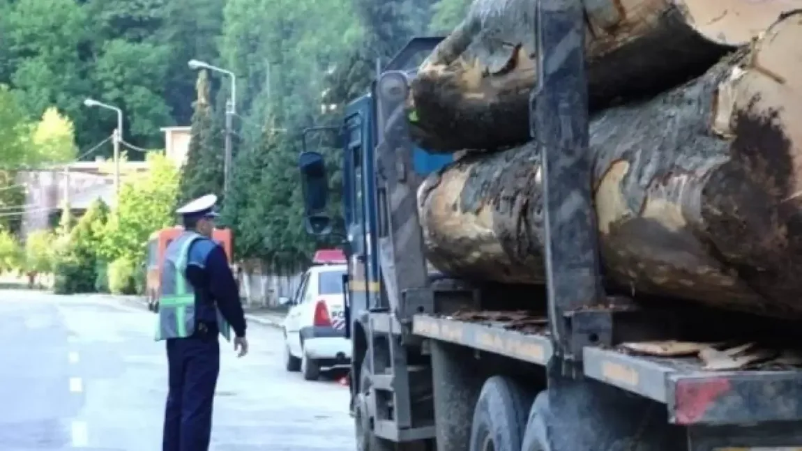 Se confiscă maşinile care transportă ilegal lemn. Noul Cod Silvic, publicat în Monitorul Oficial, conţine prevederi drastice