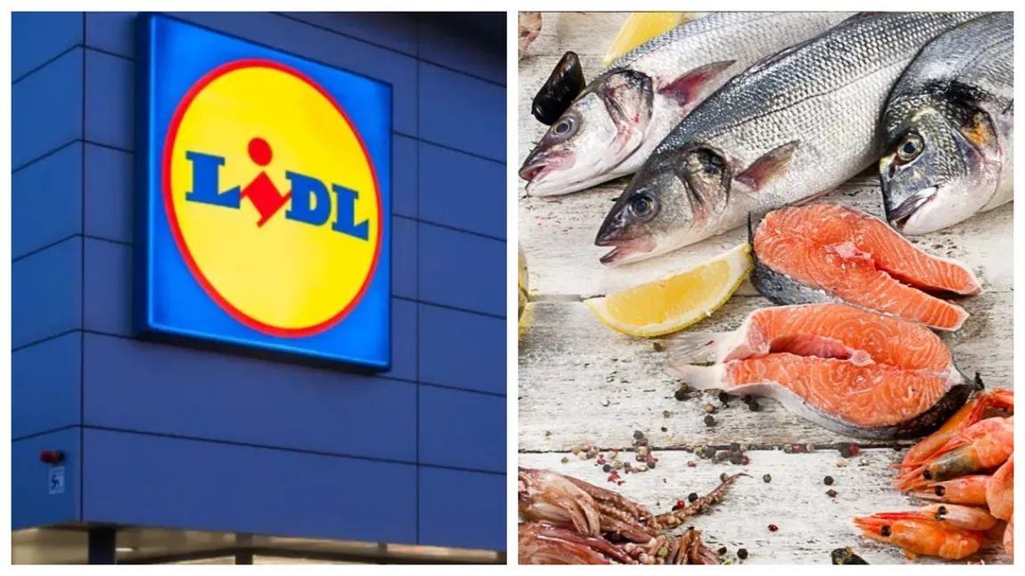 De unde provine peștele de la Lidl. La ce trebuie să fiți atenți pe etichetă