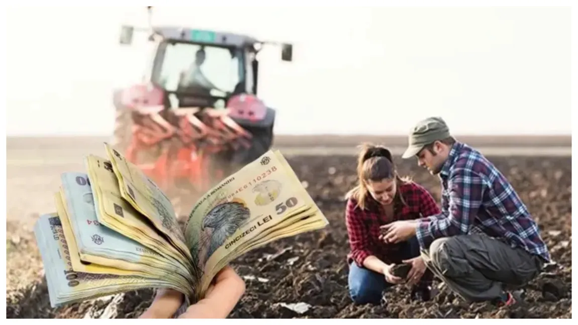 1.500 de euro pentru românii care cultivă legume. Banii intră direct pe card. Ce condiții trebuie să îndeplinească și unde pot depune cererea