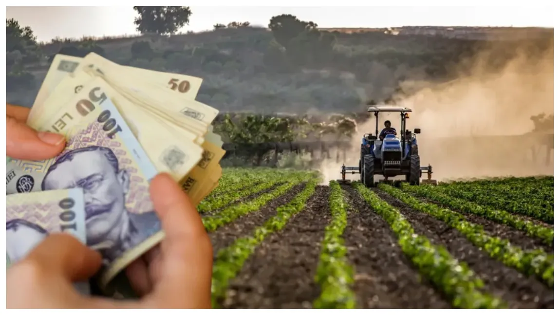 1.200 de lei pe card pentru proprietarii de terenuri. Ce condiții trebuie să îndeplinească