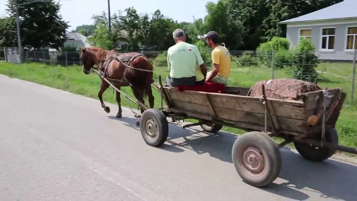 Fabulos! Orașul unde s-a răsturnat CĂRUȚA cu proști tocmai a descoperit autobuzul! Caracalul va avea în 2025 pentru prima dată în istorie transport public cu autobuze!
